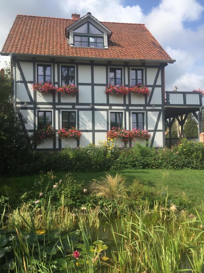 Schoene Gemuetliche Ferienwohnung Mit Kamin II Im Harz Darlingerode Экстерьер фото