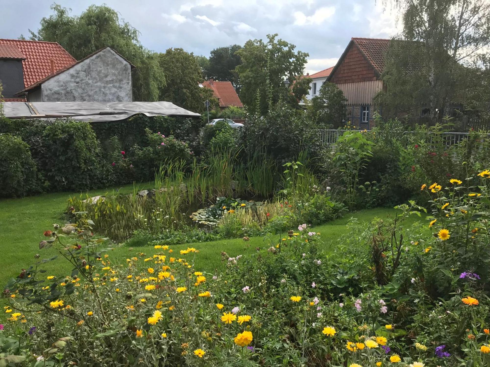 Schoene Gemuetliche Ferienwohnung Mit Kamin II Im Harz Darlingerode Экстерьер фото